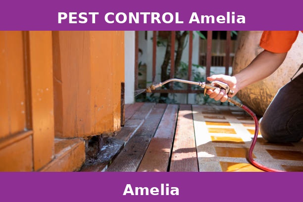 PEST CONTROL Amelia